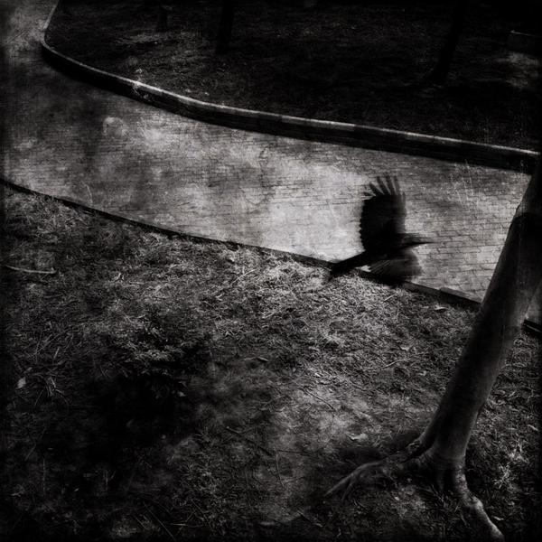 自动化运维的云呼试用3分钟